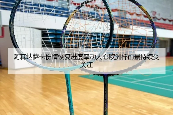 阿森纳萨卡伤情恢复进度牵动人心欧洲杯前景持续受关注