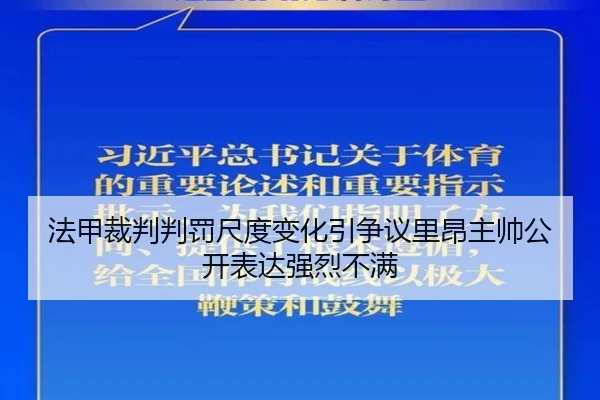 法甲裁判判罚尺度变化引争议里昂主帅公开表达强烈不满